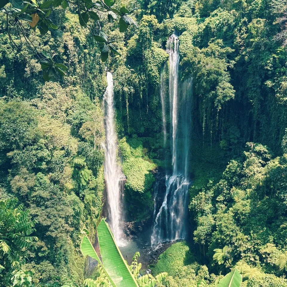 munduk 