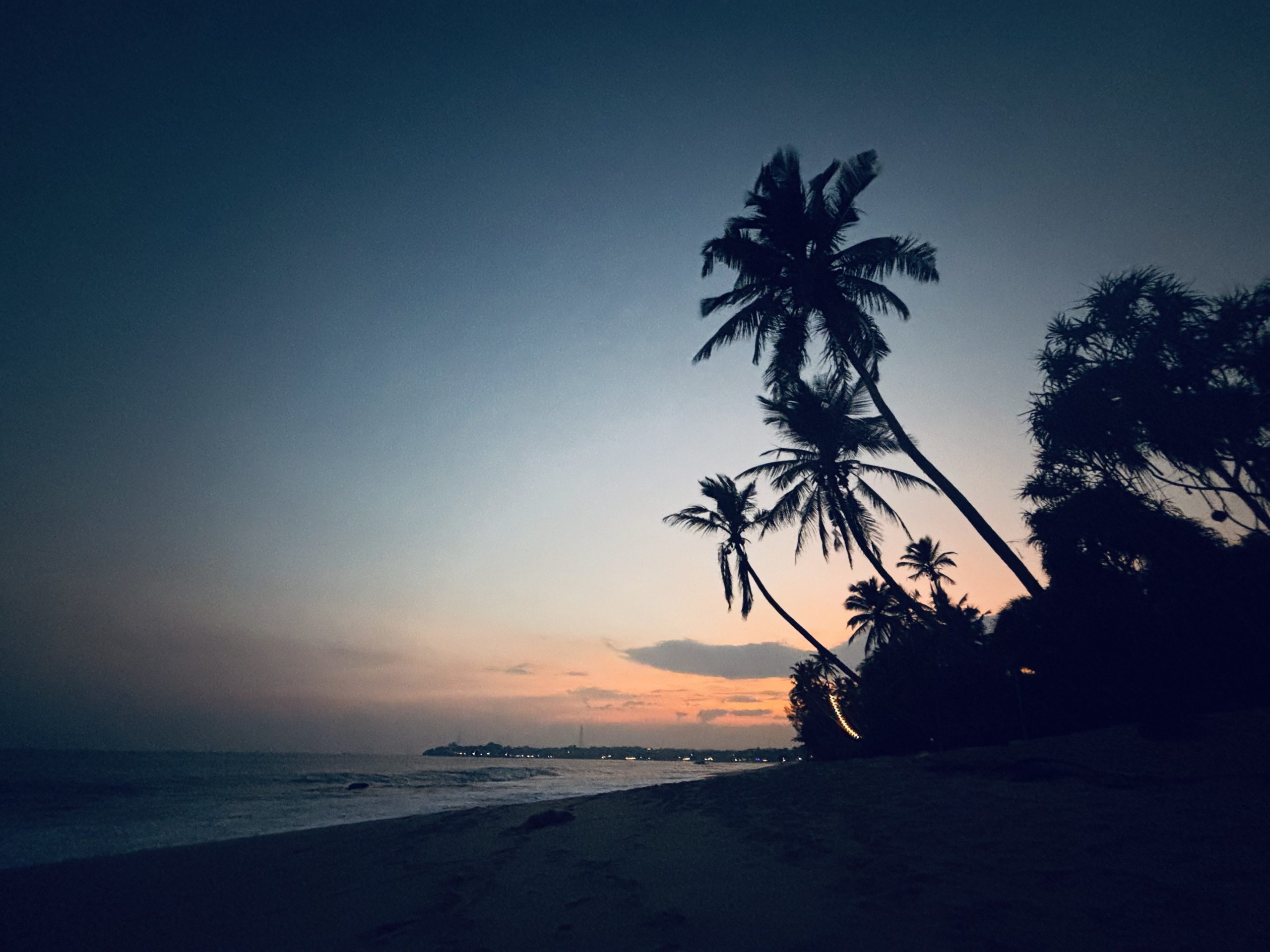 turismo de inmersión