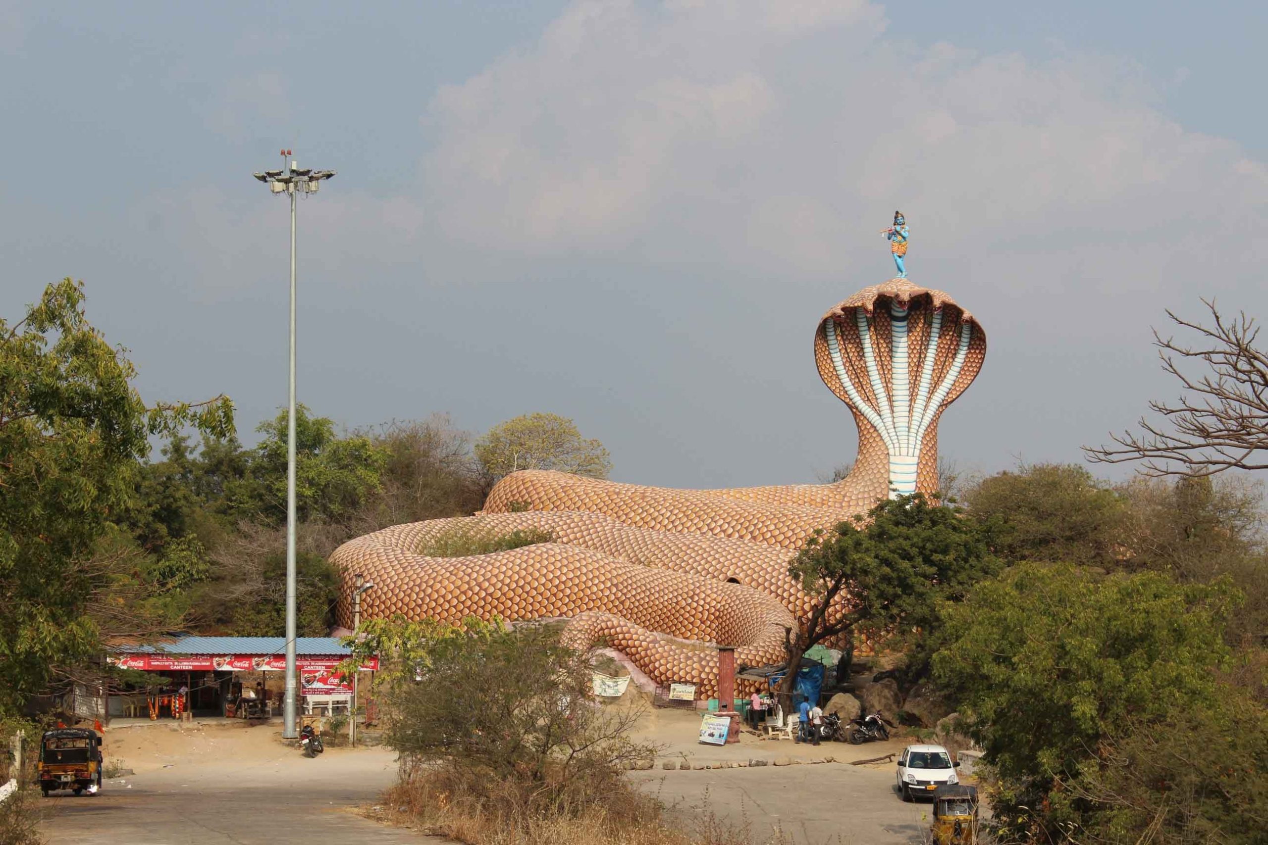 templo serpiente de India 