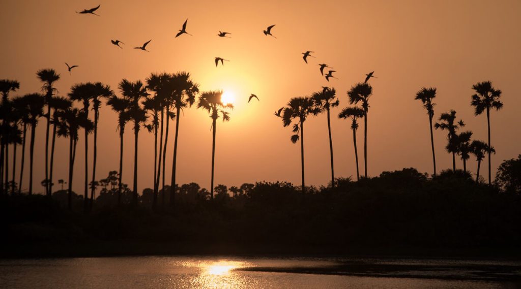 Atardecer en Sri Lanka 