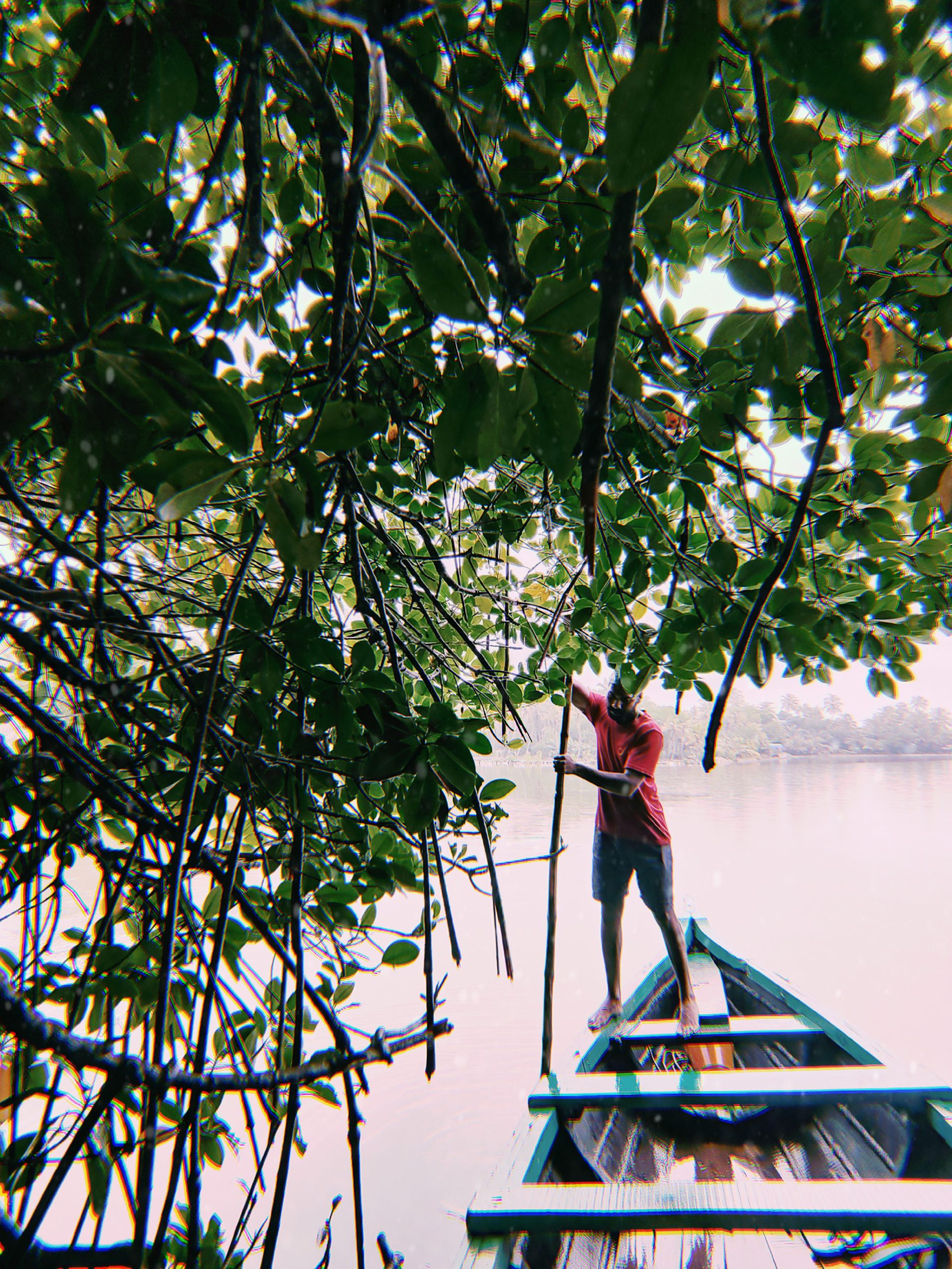 canoa en Munroe Island