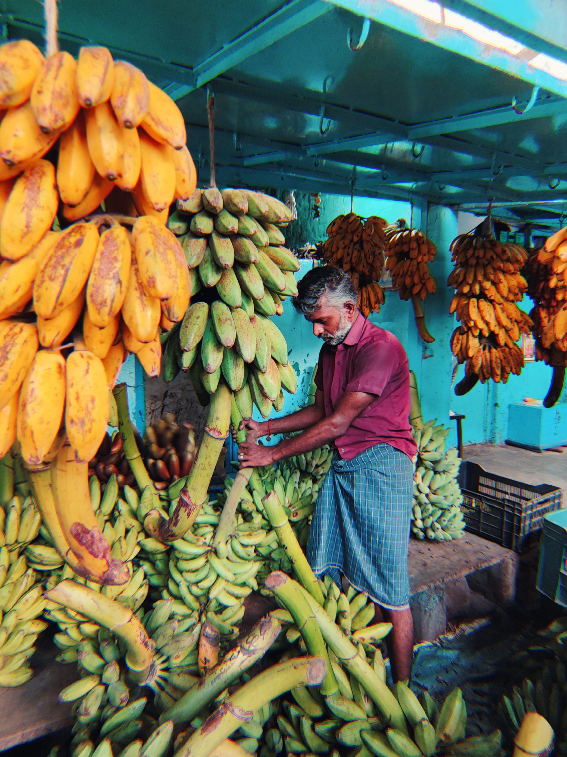 banana market 