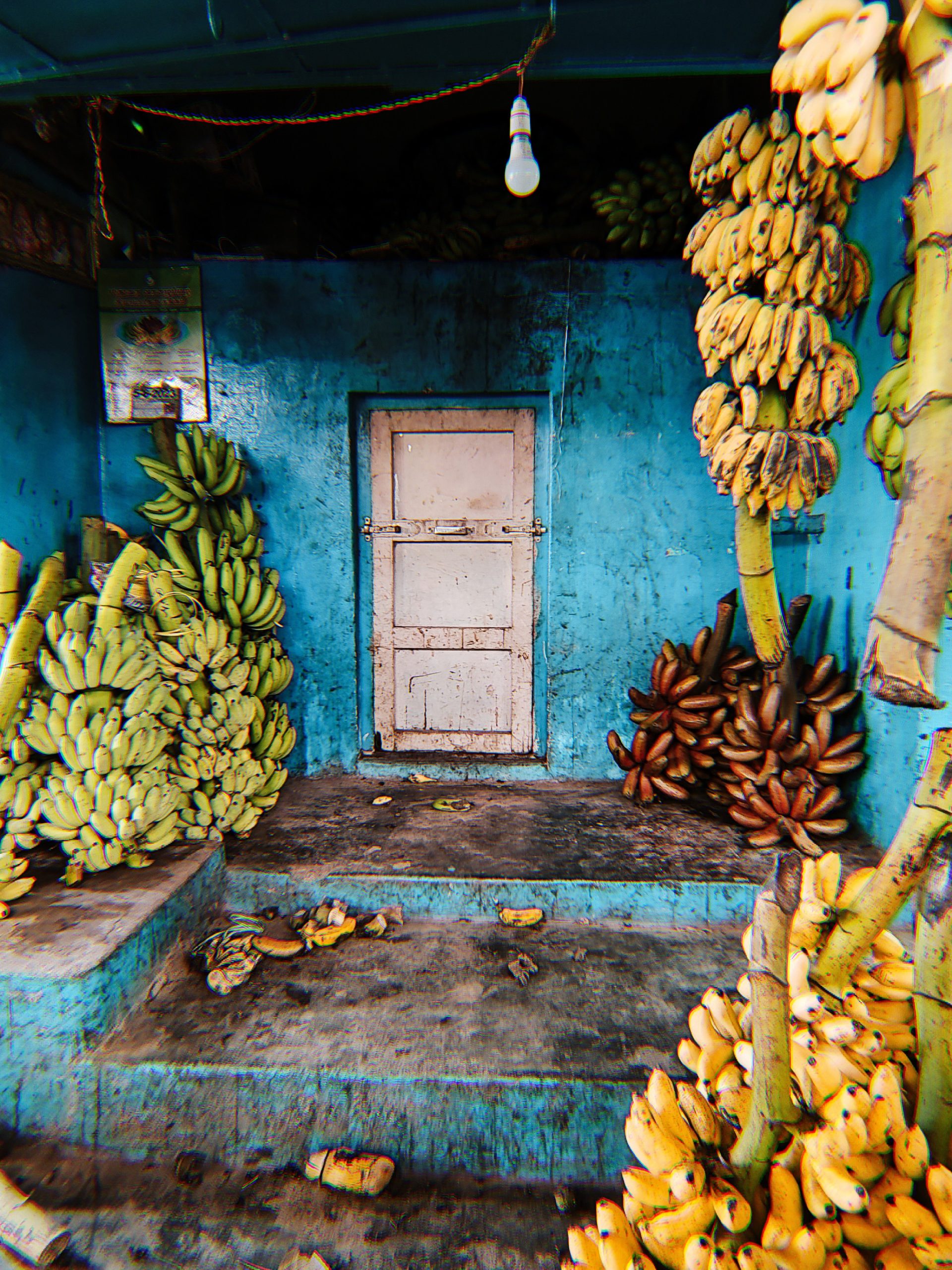 Banana Market Madurai 