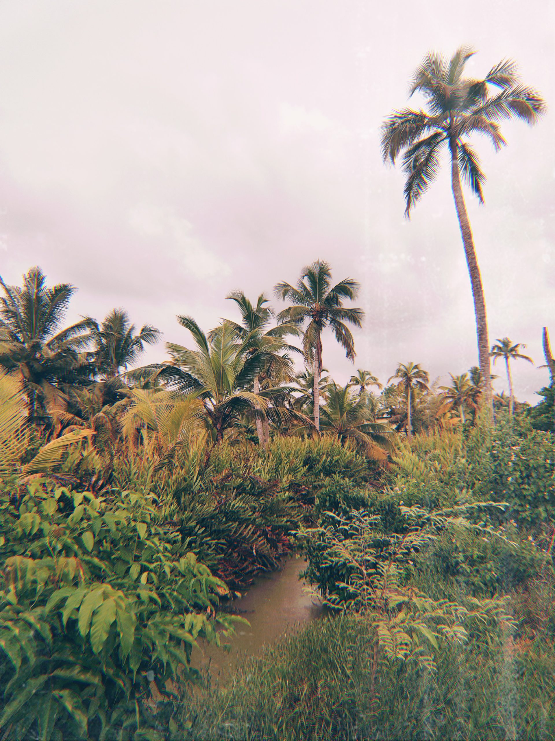 Qué hacer en Munroe Island