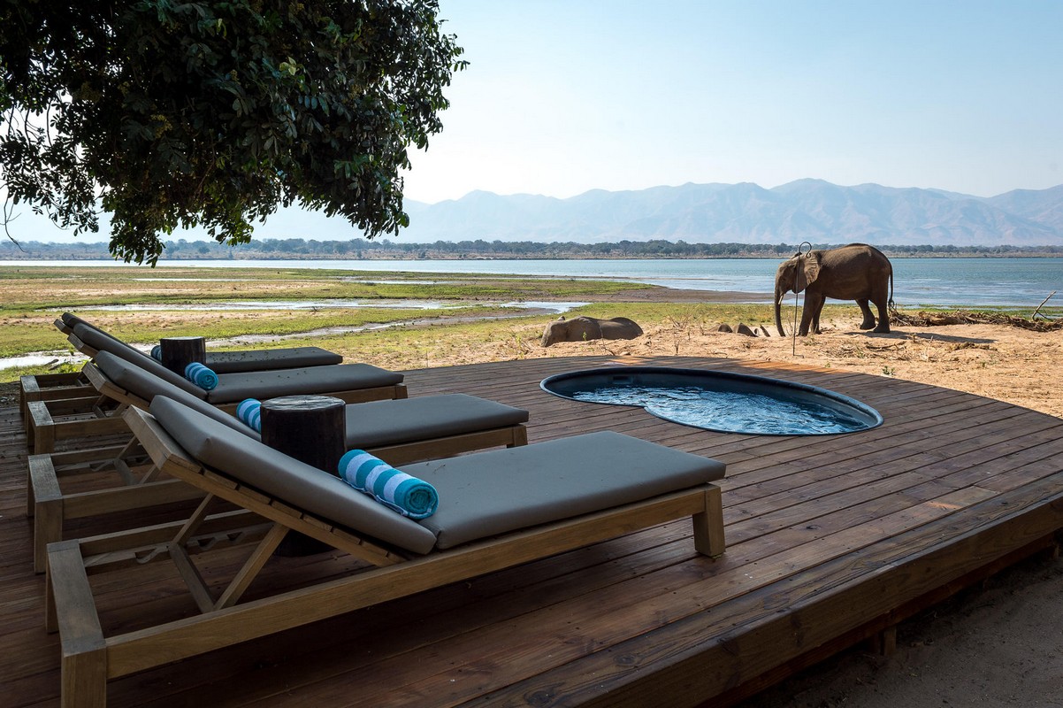 elefante en ecolodge en mana pools mana pools
