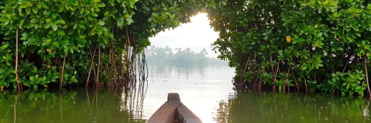 barca en los canales de Munroe Island