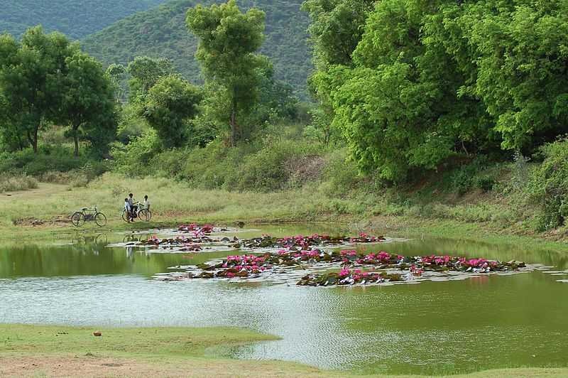 que ver en coimbatore naturaleza del sur de india