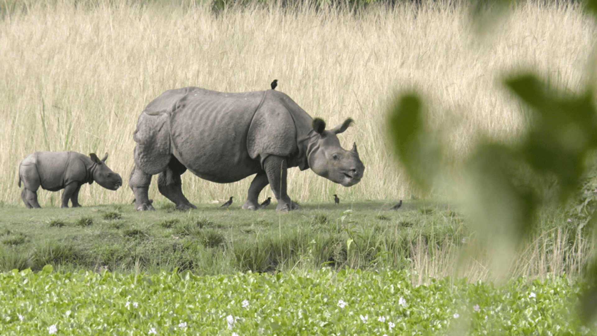 parque nacional india secreta