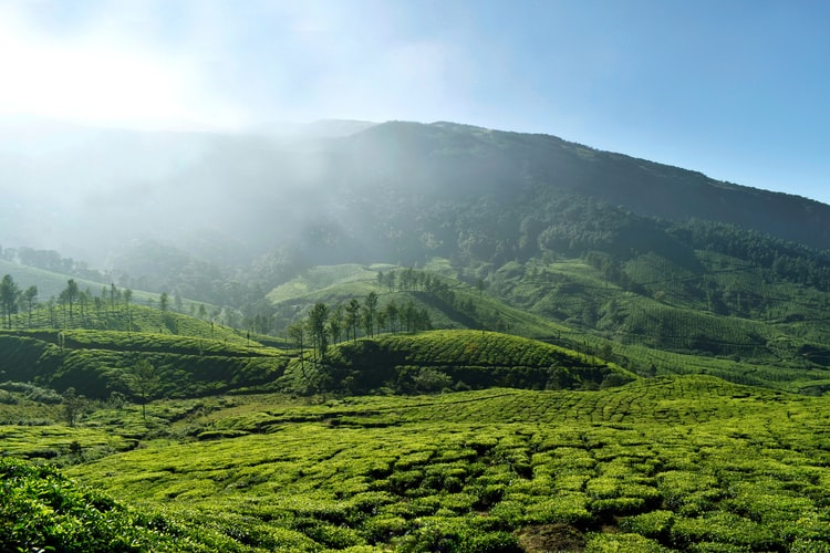 lugares más silenciosos de india 