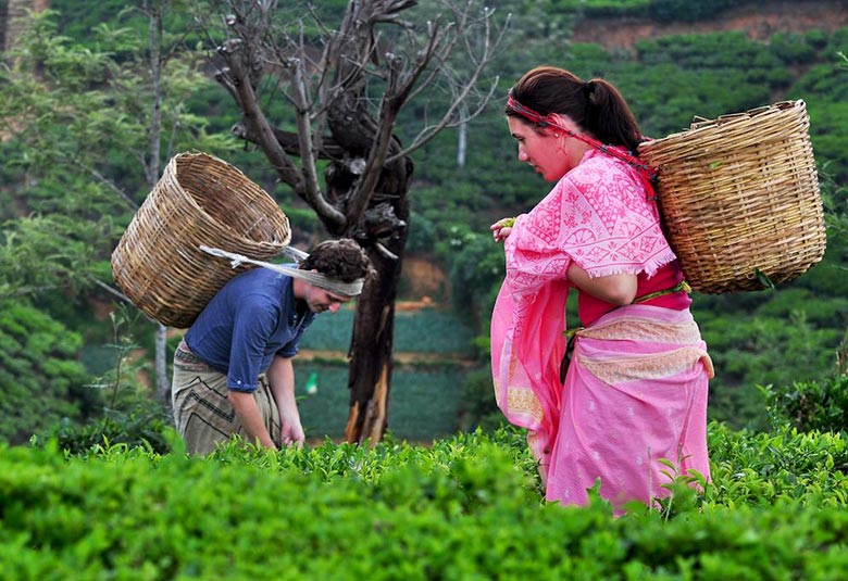 Qué hacer en Assam