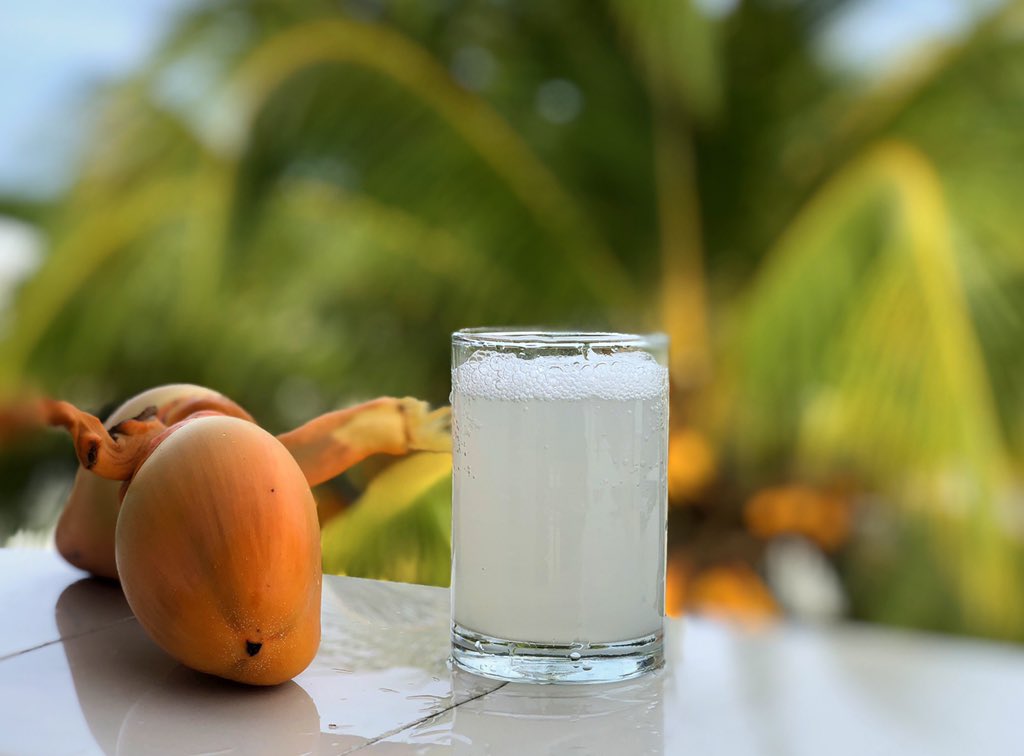 Bebidas típicas de Maldivas 