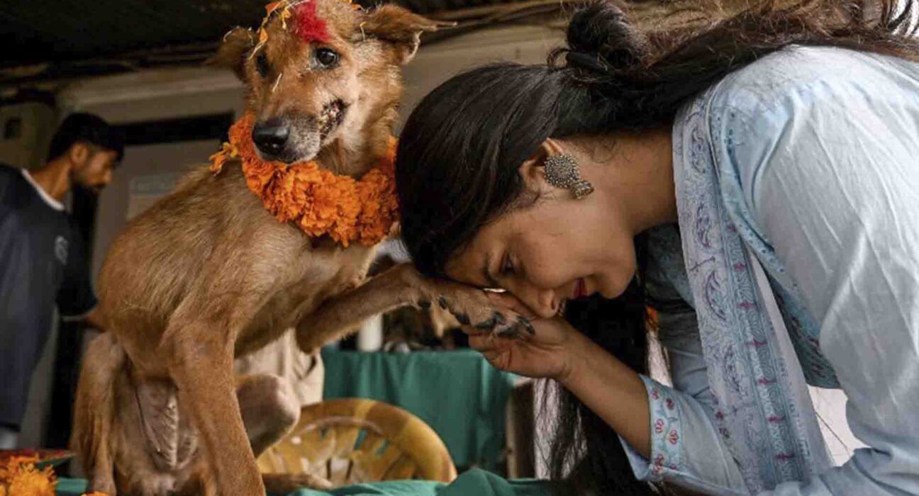kukur tihar en nepal fiestas más curiosas de Nepal y Bután
