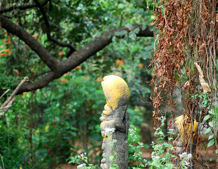 Bosques sagrados de India