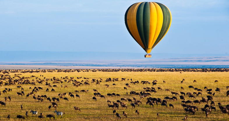 Serengeti en globo