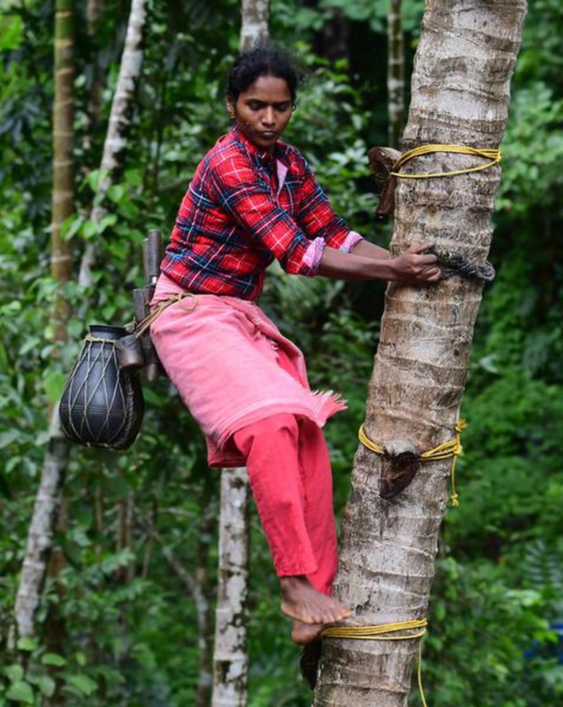 Mujeres recolectoras de cocos en Kerala