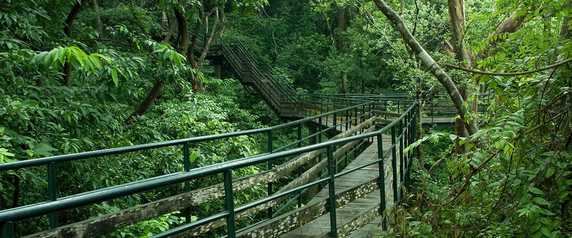 sendero natural de thenmala turismo regenerativo en India