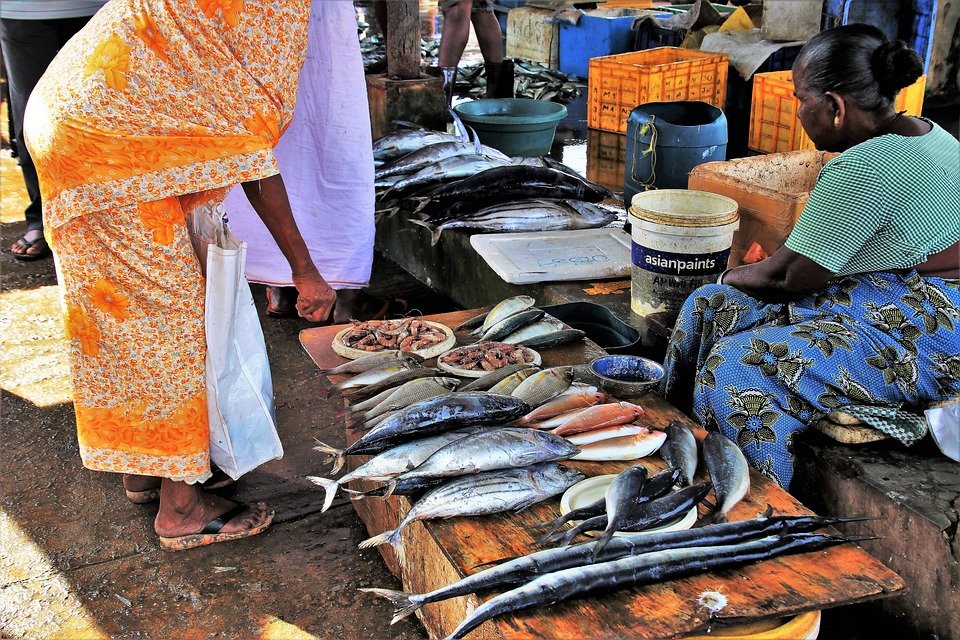 Mejores mercados de Sri Lanka 