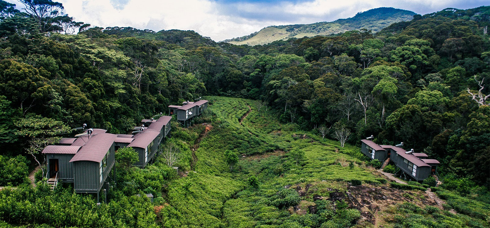 Hoteles en Sinharaja 