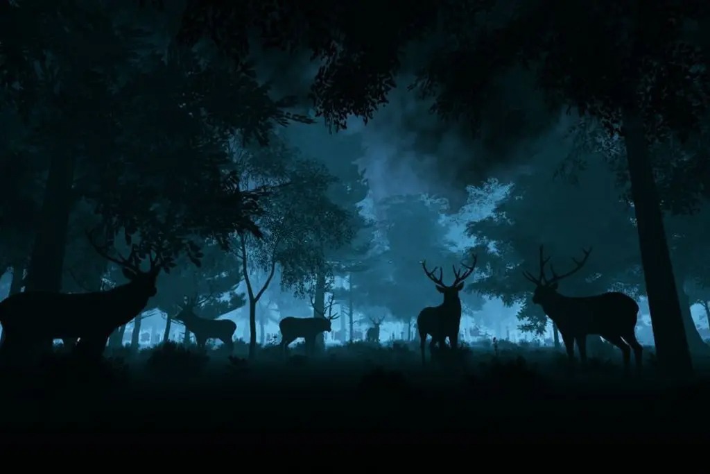 safaris nocturnos en India