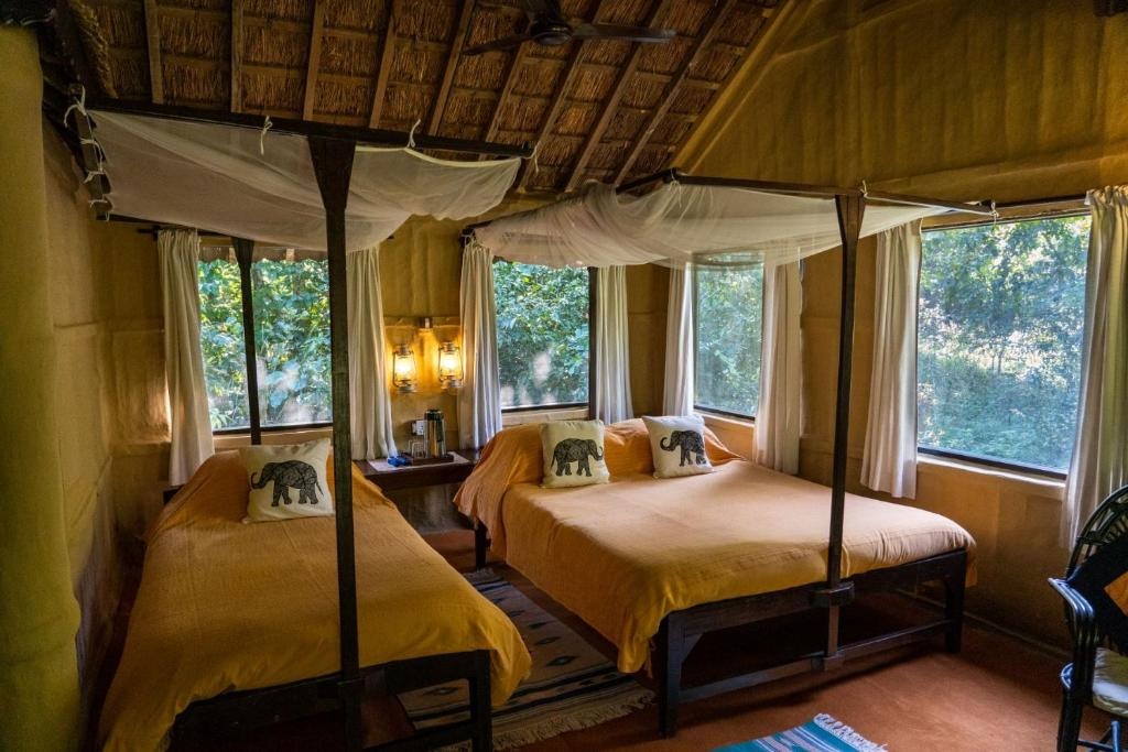 ecolodge en chitwan 