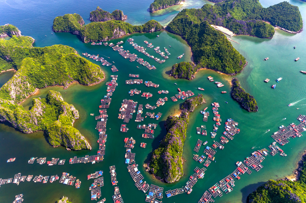 ha long bay vietnam ha long bay