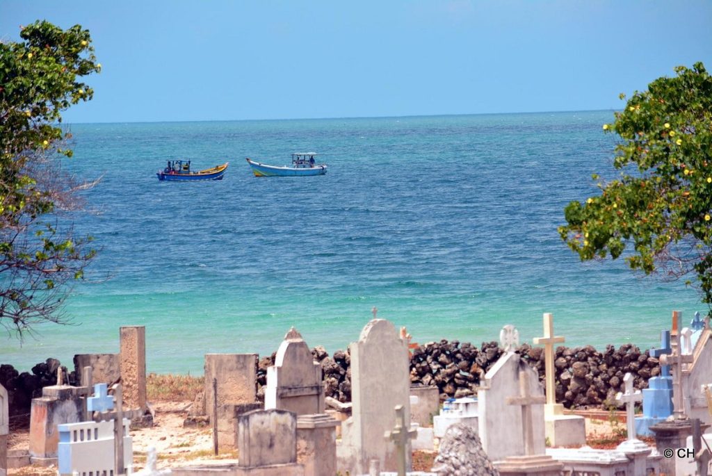 Isla de Delft en Jaffna 