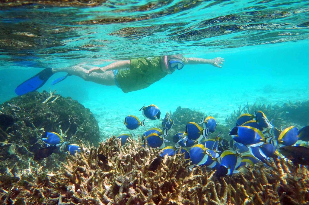 Mejores viajes para hacer snorkel