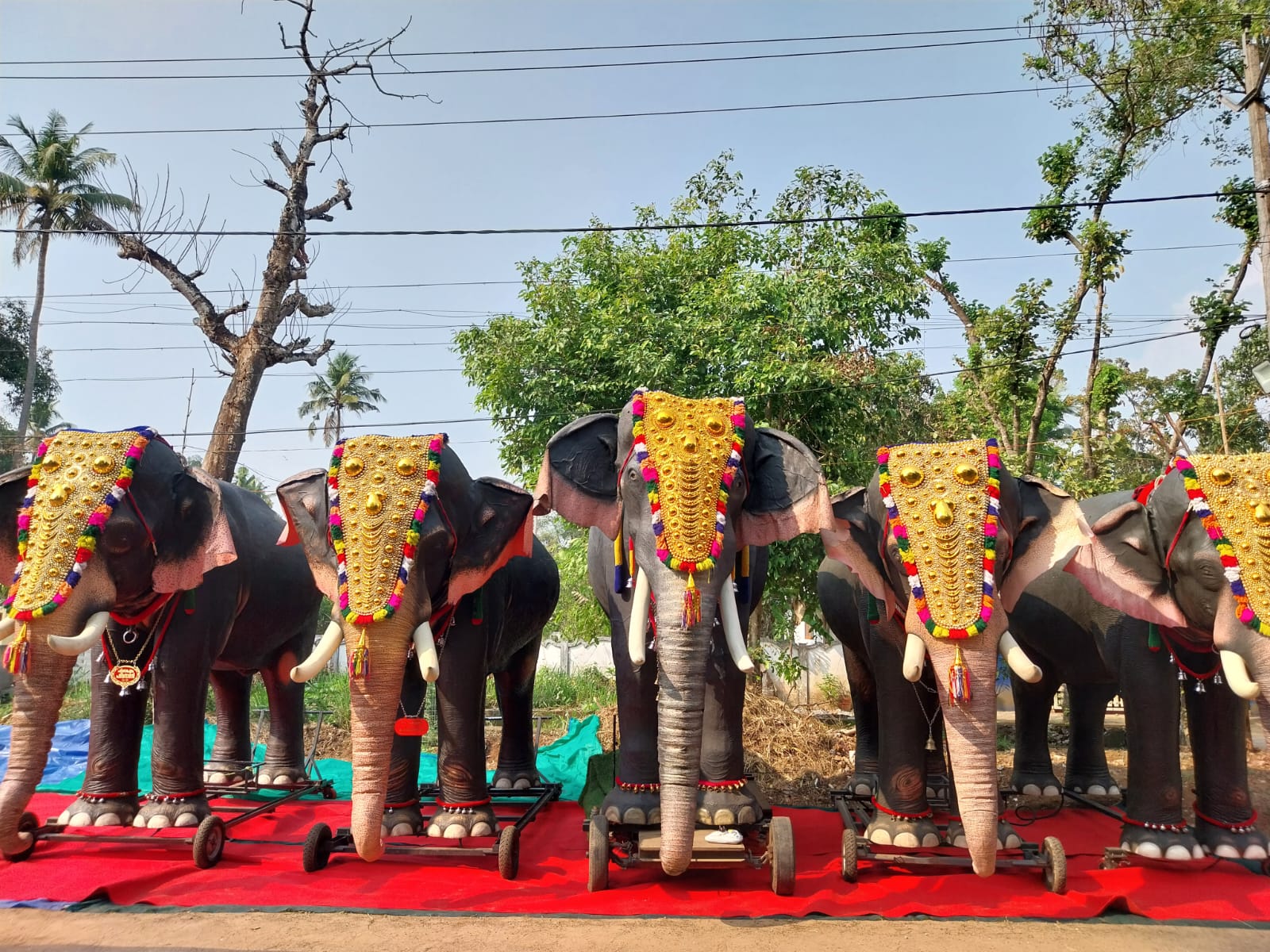 elefantes mecánicos en india