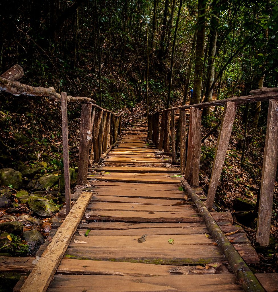 Puente de madera en Kanneliya