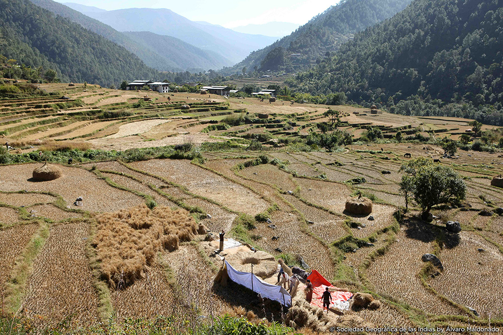 ARROZALES EN BUTÁN © Sociedad Geográfica de las Indias by Álvaro Maldonado