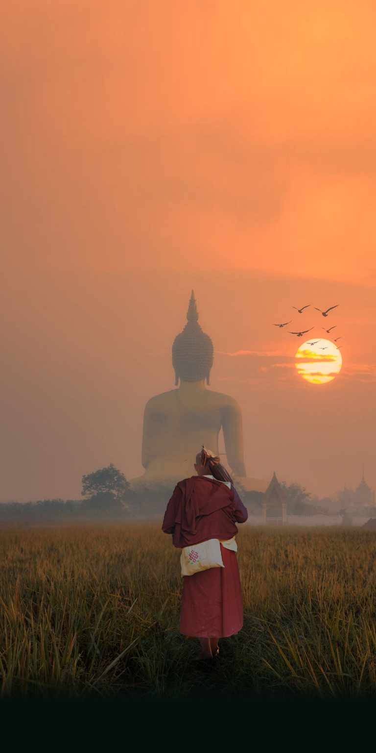 Tras los pasos de Buda