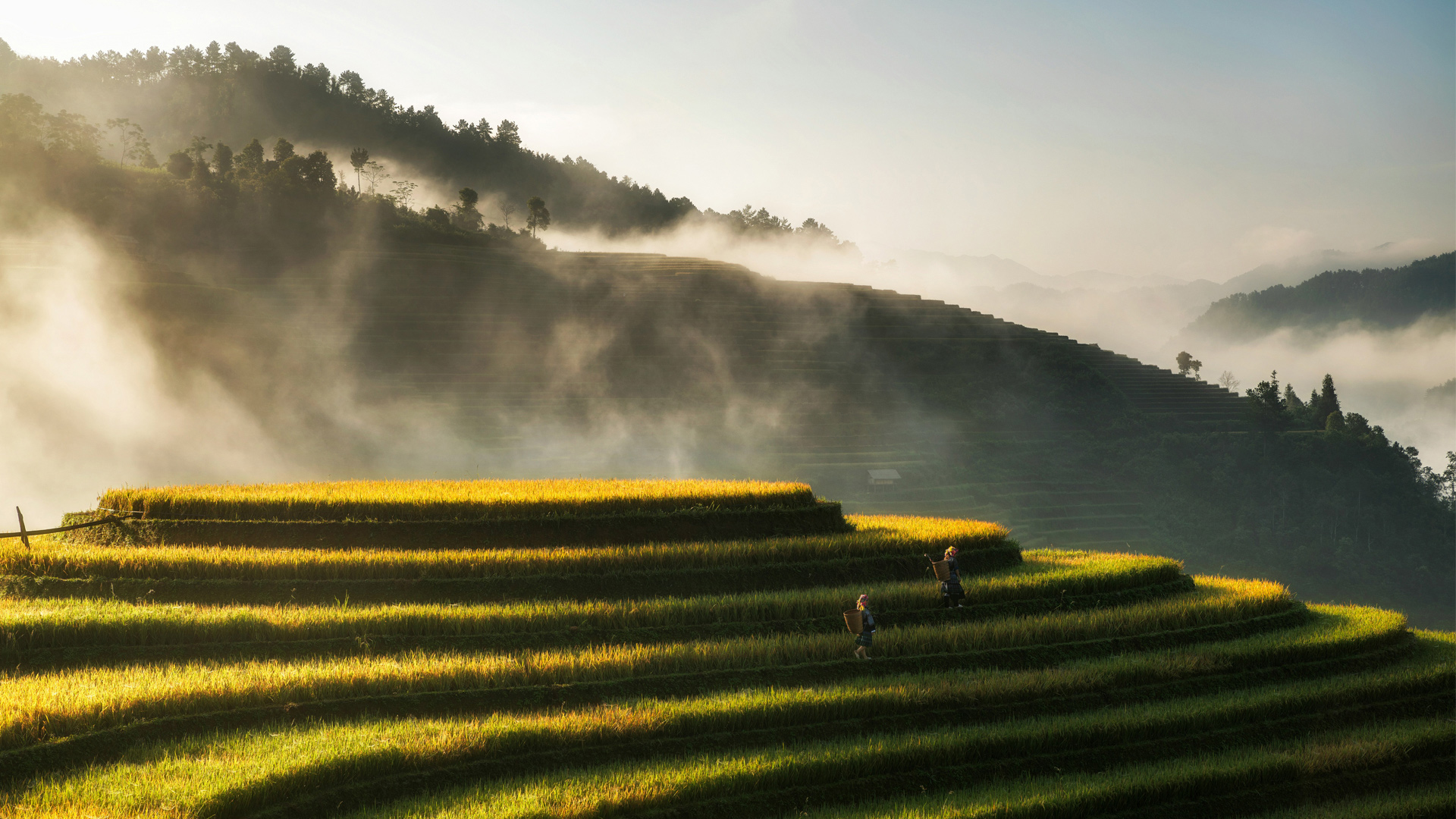 Viaje de lujo a Vietnam, Laos y Camboya