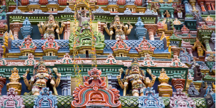 viaje a india con amigos